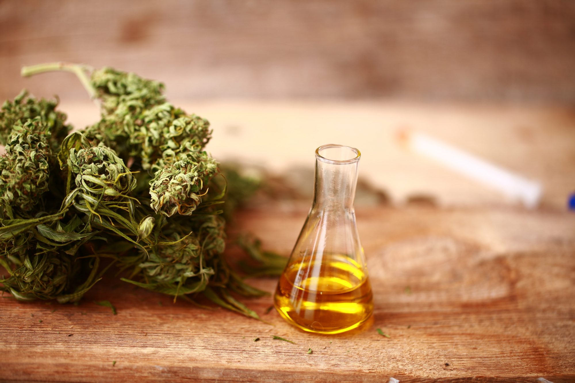 Buy high quality flower, hashish, and cannabis oil (huile de cannabis)